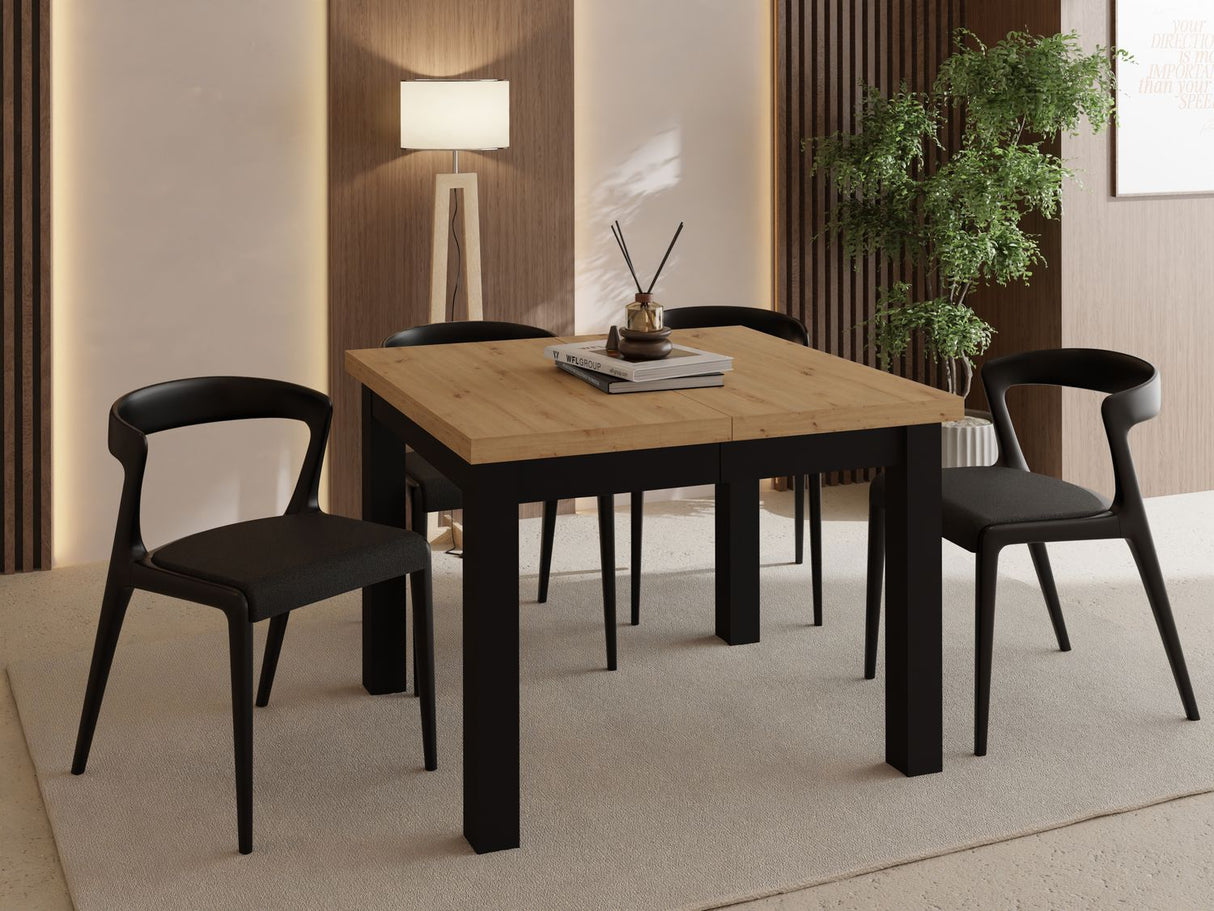 3fc5967477c78266fd55fd8dc5307c3a3bb0d528_black_artisan_0