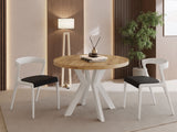 0096bfa6119ca1c9706c86922e523d26f08b2e0f_white_craft_0