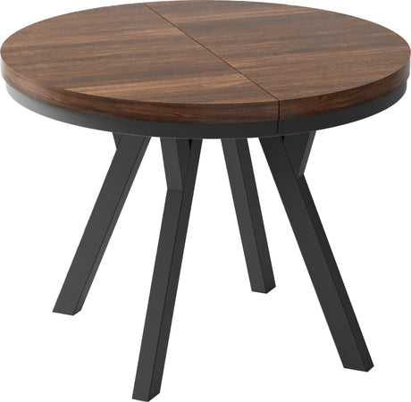 416b80596ce22adde56df87d5171204b7762c47f_kasztan_czarny_kopia