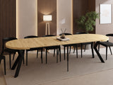 efe8c0a5d19615db186f6ee51893c4ef38a6bd5c_black_artisan_4